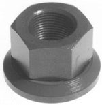 13-3052Q -PKG of 100 Wheel Flange Cap Nuts - Nick's Truck Parts