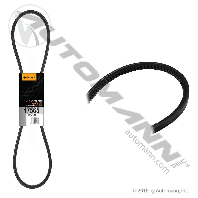 815.17565 - Continental Elite V-Belt - Nick's Truck Parts