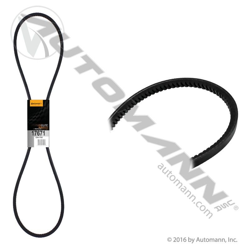 815.17671 - Continental Elite V-Belt - Nick's Truck Parts