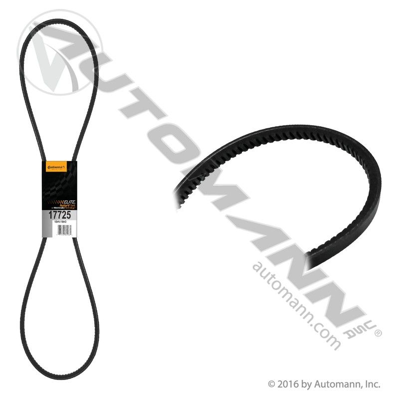 815.17725 - Continental Elite V-Belt - Nick's Truck Parts