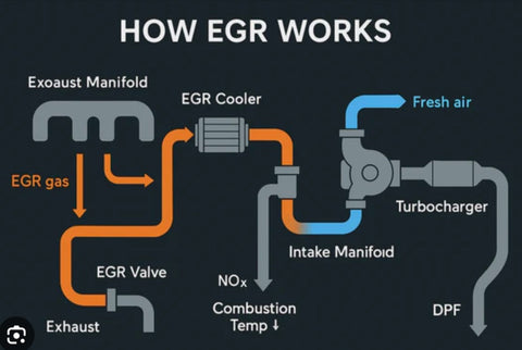 Exhaust Recirculation Components