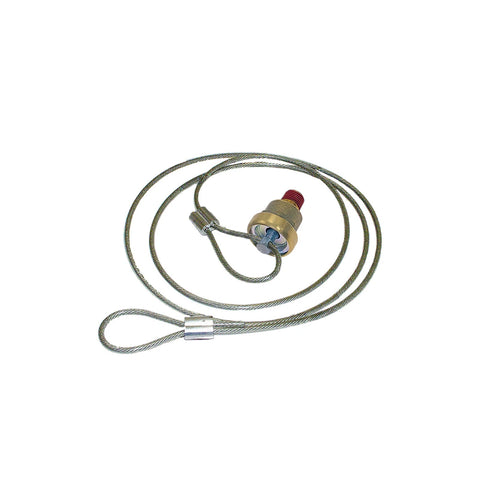 170.12105- Drain Valve w/60in Cable