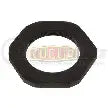 Automann E-6147 axle spindle nut for wheel end assembly, shown in close-up with detailed threading and metal finish.