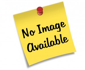 Buyers-0208470-Replacement Coupler For SaltDogg® TGS05 Spreader - Nick's Truck Parts