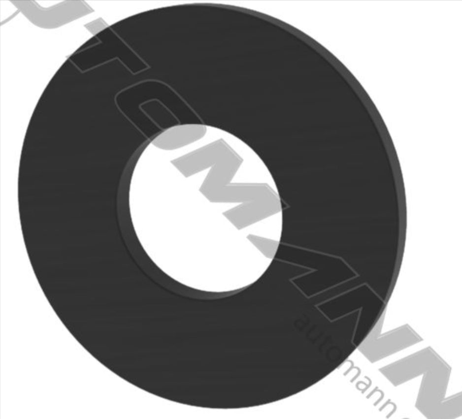 WA1169- Wear Pad Ridewell - Nick's Truck Parts