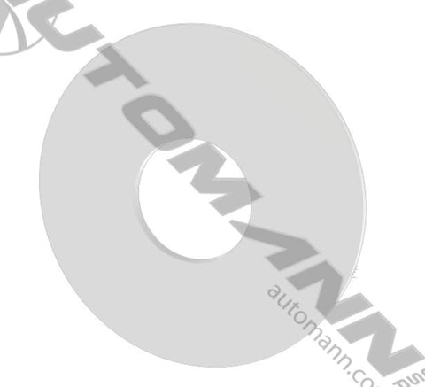 WA1621 - Wear Pad Washer Ridewell - Nick's Truck Parts