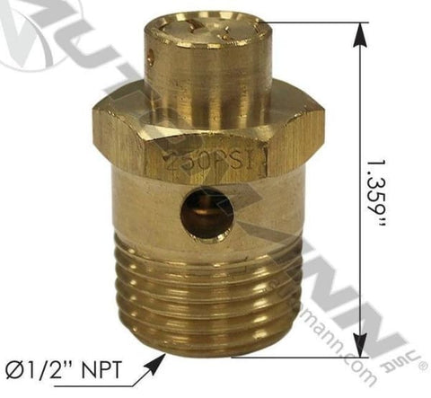 170.131081-ST4 Safety Valve 250 PSI, (product_type), (product_vendor) - Nick's Truck Parts